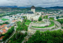 Malé a stredné podnikanie v Trenčianskom samosprávnom kraji v roku 2020