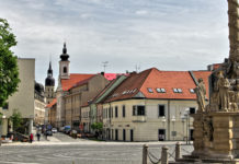 Malé a stredné podnikanie v Trnavskom samosprávnom kraji v roku 2020
